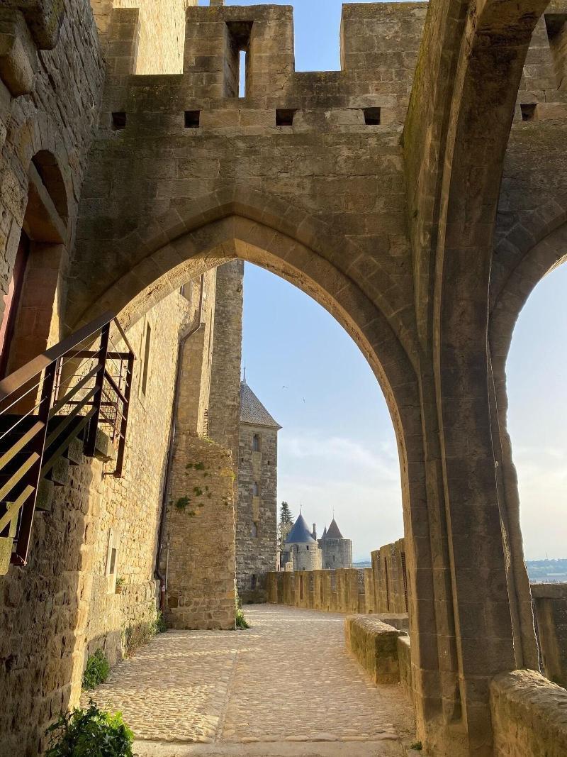 Vue Sur Cite - Spa Carcassonne Exterior photo